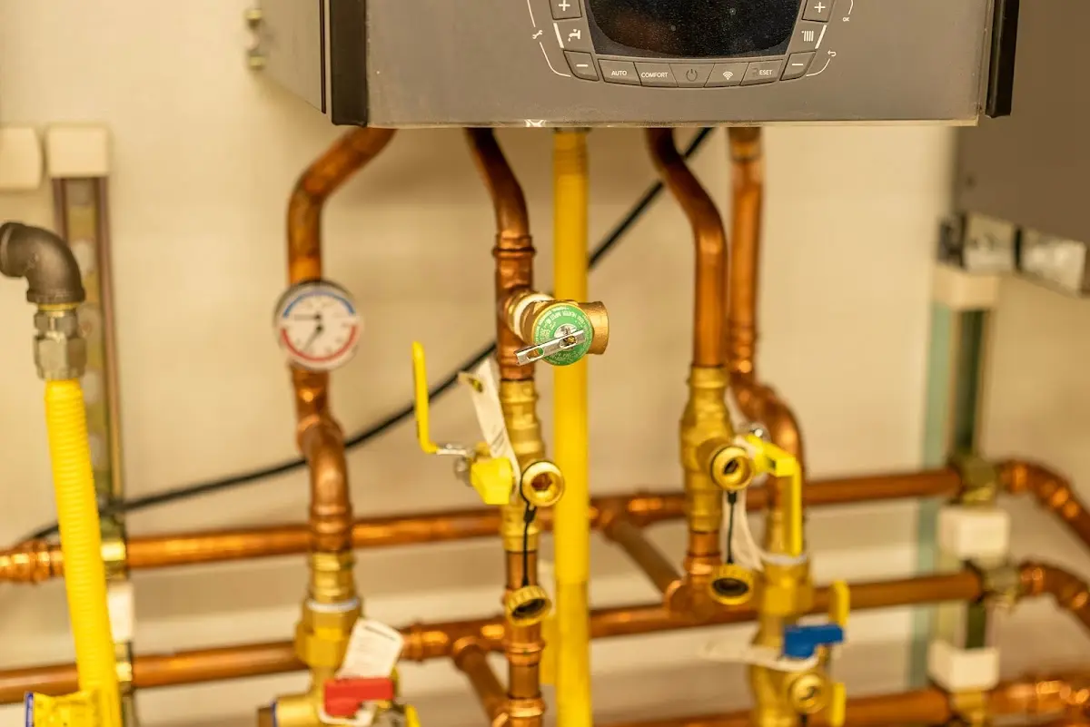 Licensed technician providing Sump Pump Repair for a homeowner in Frankfort